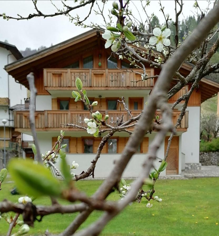 سان بيترو دي كادوري B&B Il Tulipano المظهر الخارجي الصورة