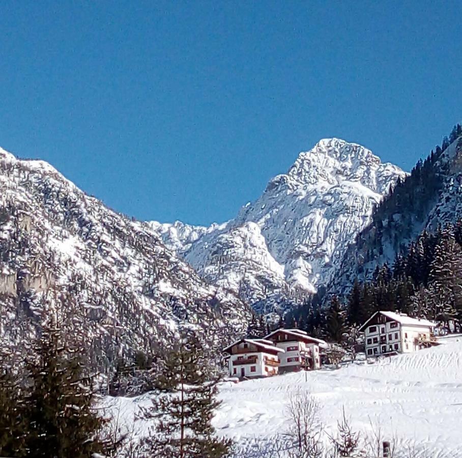 سان بيترو دي كادوري B&B Il Tulipano المظهر الخارجي الصورة