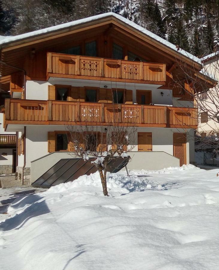 سان بيترو دي كادوري B&B Il Tulipano المظهر الخارجي الصورة