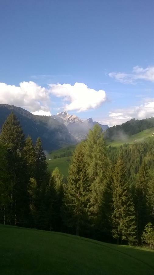 سان بيترو دي كادوري B&B Il Tulipano المظهر الخارجي الصورة