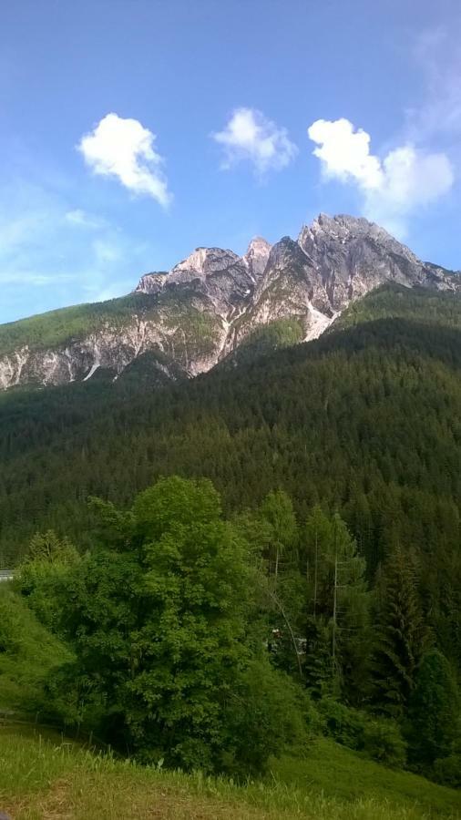 سان بيترو دي كادوري B&B Il Tulipano المظهر الخارجي الصورة