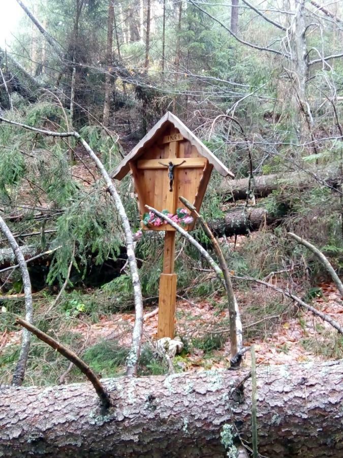 سان بيترو دي كادوري B&B Il Tulipano المظهر الخارجي الصورة